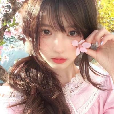 完美伴侣2025